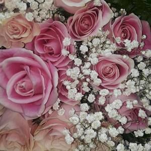 Meet your Posher, Faby